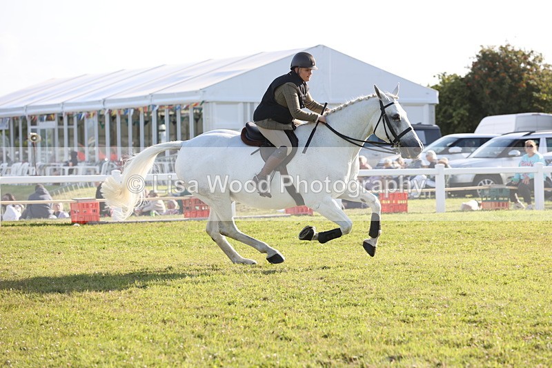 JPP_3356 - Class 22: Working Hunter 90cm