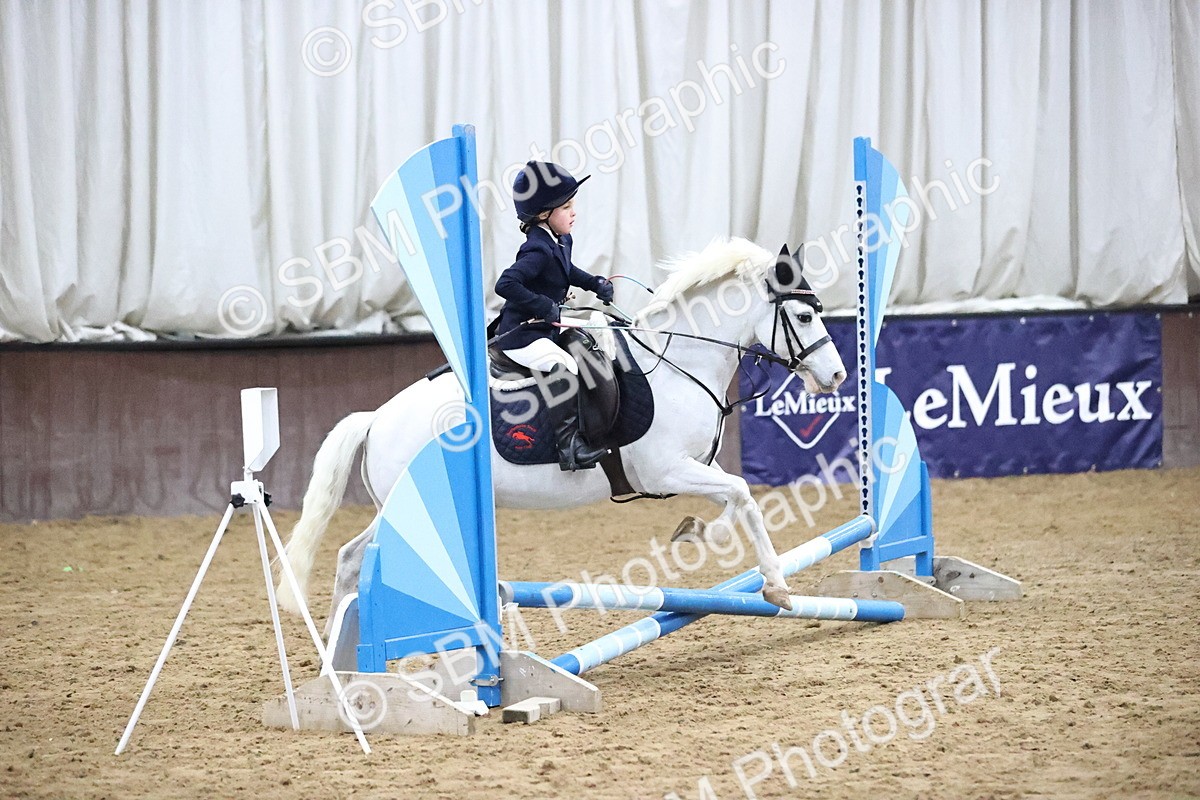 SBM_000097 - Class 1 - Fox Farriers 30cm