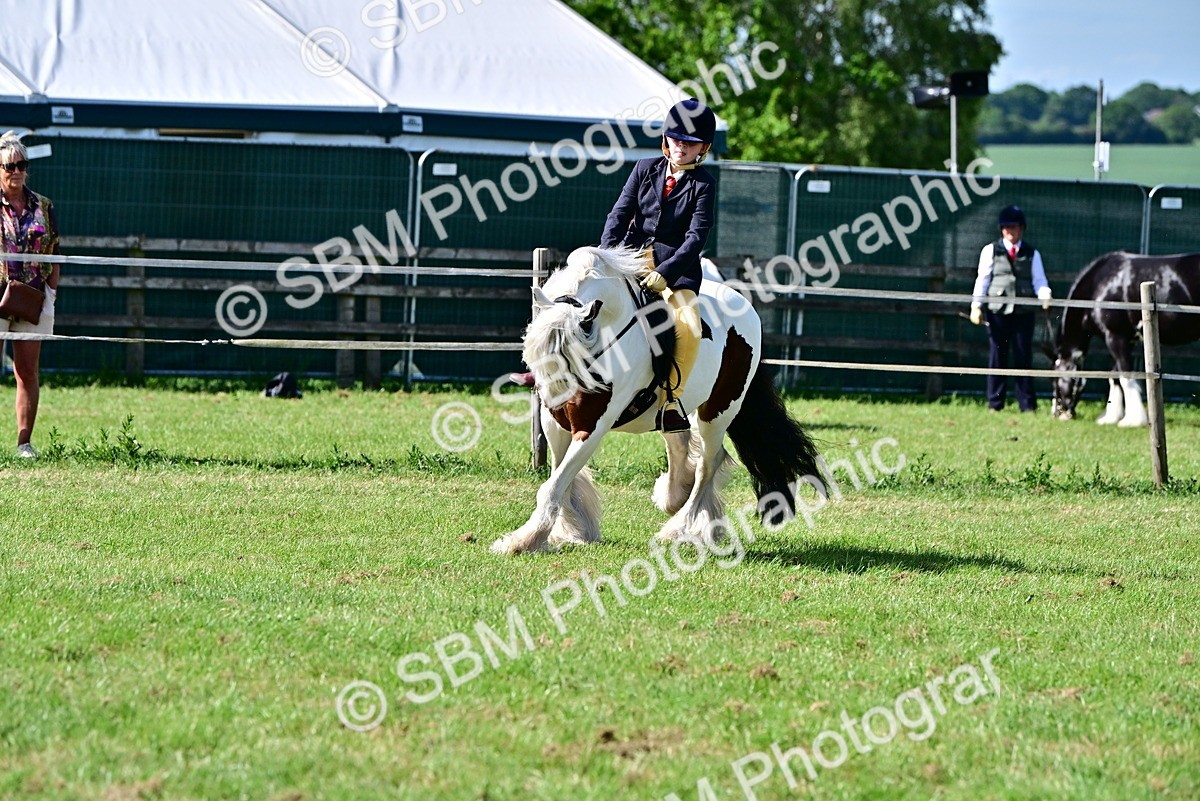 SBM_09412 - Class 63-65 - Traditional Gypsy Cobs In Hand & Ridden