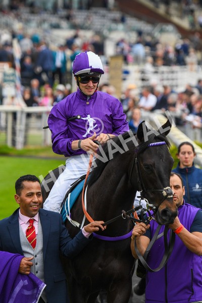 180523-Race 6-Cuban Thunder-0696 - Race 6 4.45pm Frank Whittle Partnership ebfstallions.com Maiden Stakes