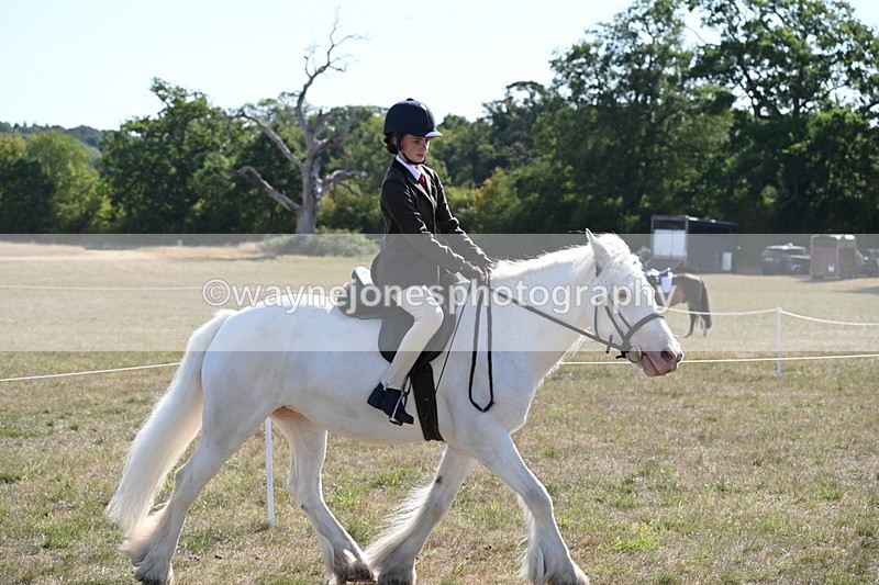 WJ6_7488 - Class 34 Judges Choice