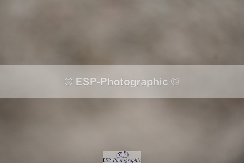 240323A-135432-02061 - UnA Prelim 7