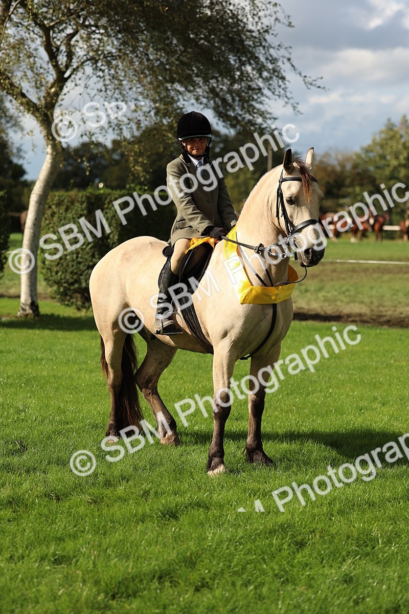 SBM_46433 - Working Hunter Pony Supreme Championship