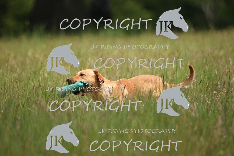 2R6A8588 - 34 Christopher