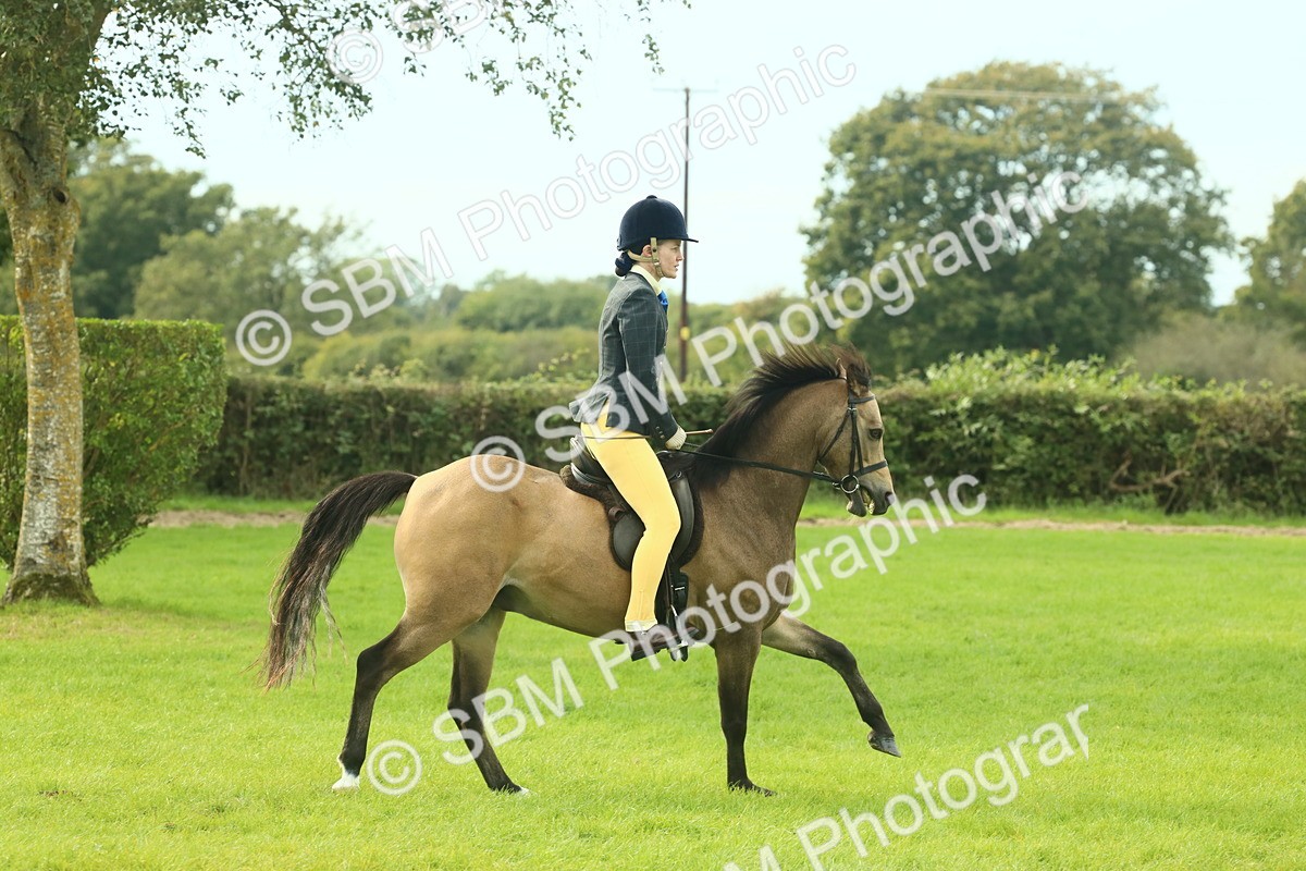 SBM_69824 - S59 - Mountain & Moorland Ridden Small Breeds