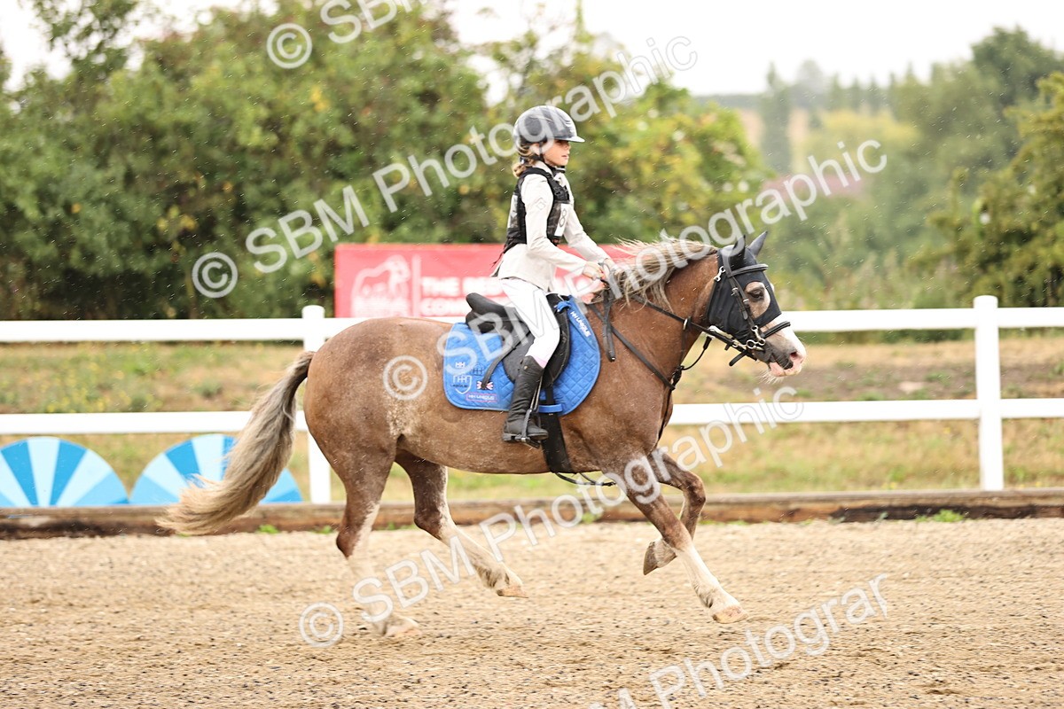 SBM_000182 - Class 2 - 50cm