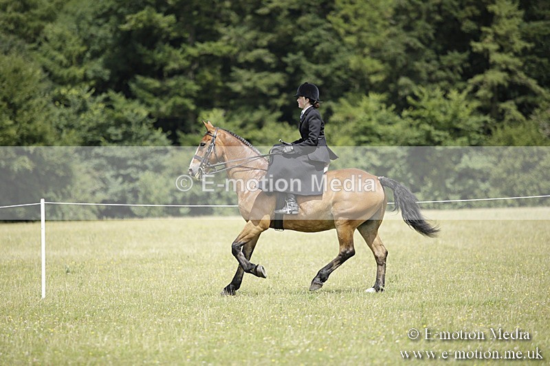 BVR160717-1993 - Side Saddle Classes 16/07/17