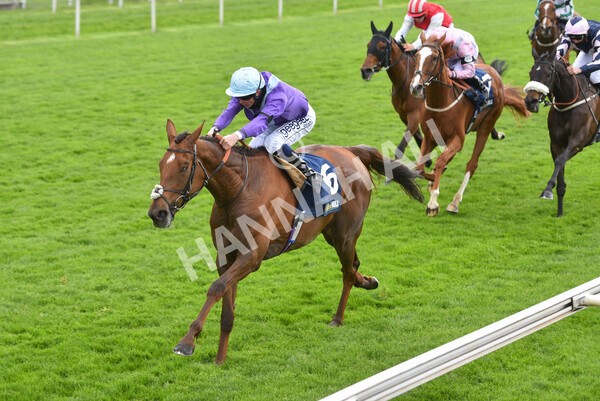yr22052021r2-28 - Race 2 2.40pm William Hill Brontë Cup