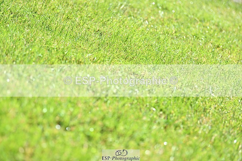 240526-111527-20458 - 450-CEDARMOUNT_CAVALIER-Grace_Cooper