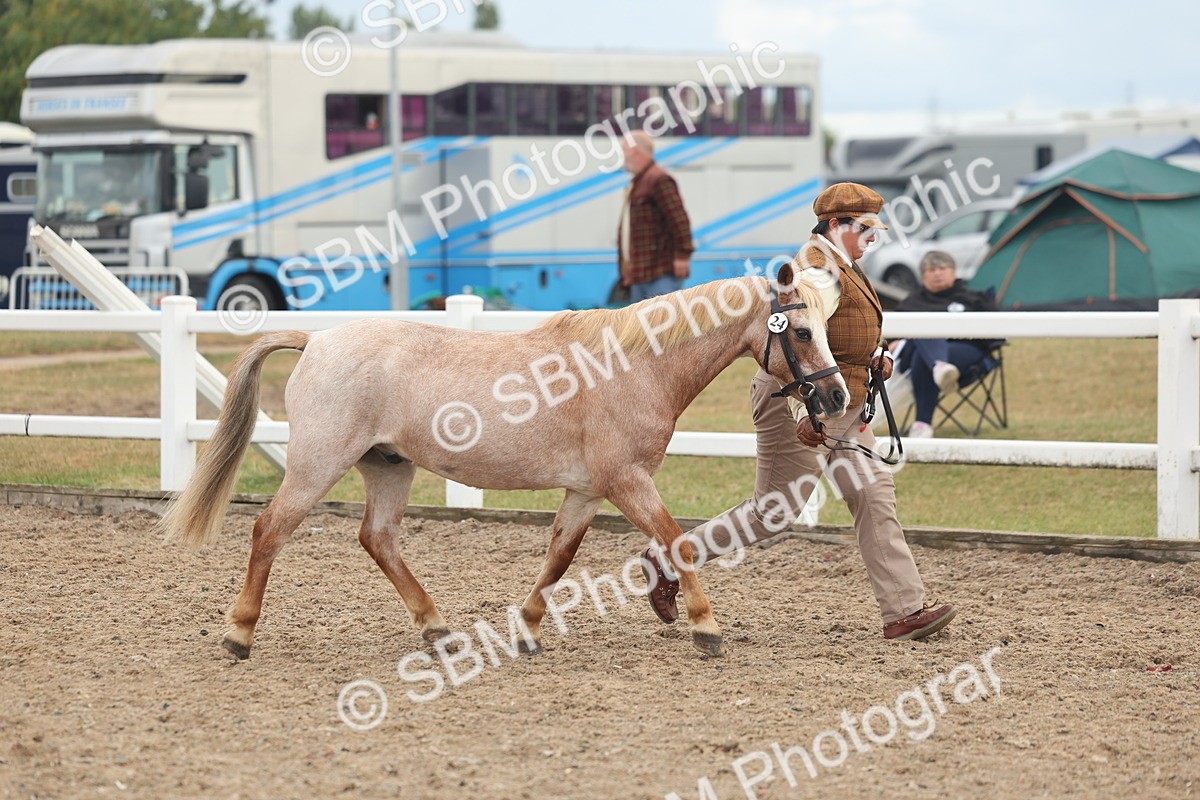 SBM_08466 - Class 29 - IH Veteran Pony