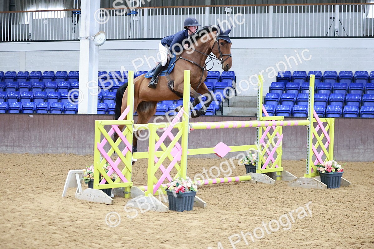 SBM_004300 - Class 12 - Senior Foxhunter - 1.20m