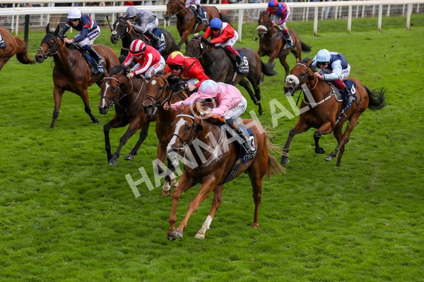 250823-Race 4-Live In The Dream-5879 - Race 4 3.35pm Coolmore Wootton Bassett Nunthorpe Stakes