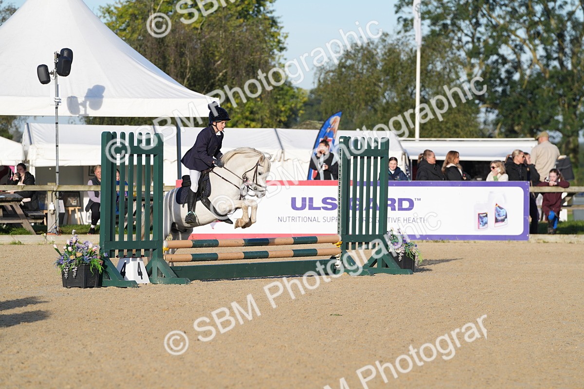 SBM_34304 - J62 - Clear Round 50cm