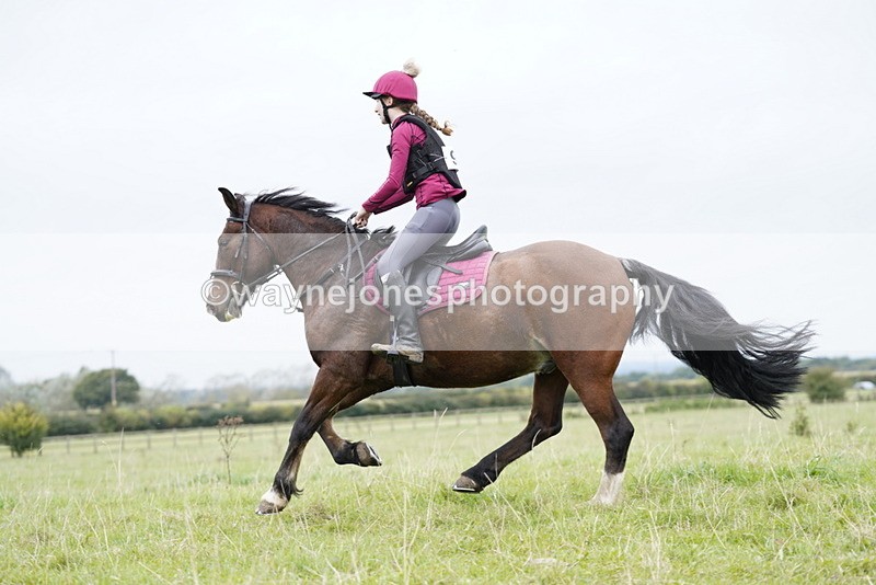 _DSC6614 - Time at Photographer 10:13 to 10:42
