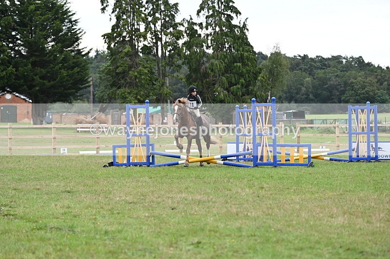 WJ6_0294 - 40cm Time 10:00 to 10:28