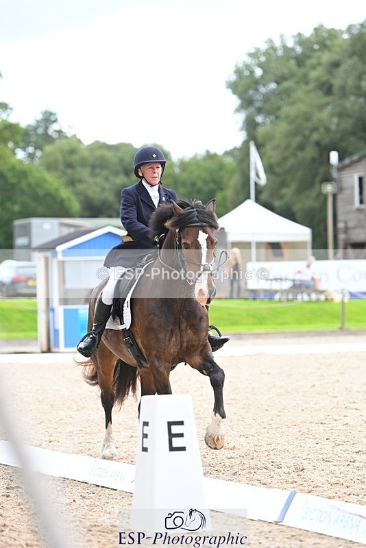 230813-140958-07689 - Cls 13 Medium Bronze 13.15 to End