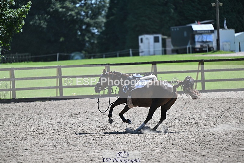 240729B-115059-02551 - Showjumping Competition