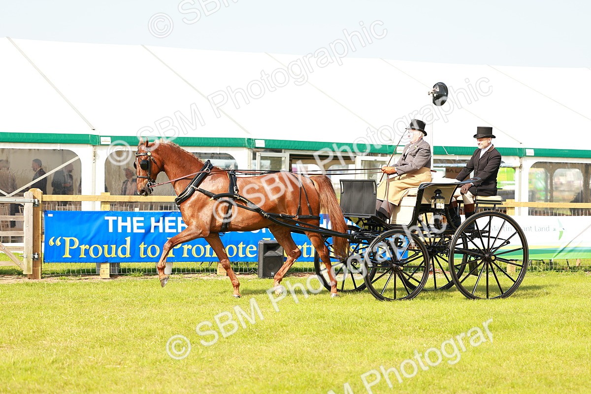SBM_01190 - Class 2-4 - HOYS Private Driving