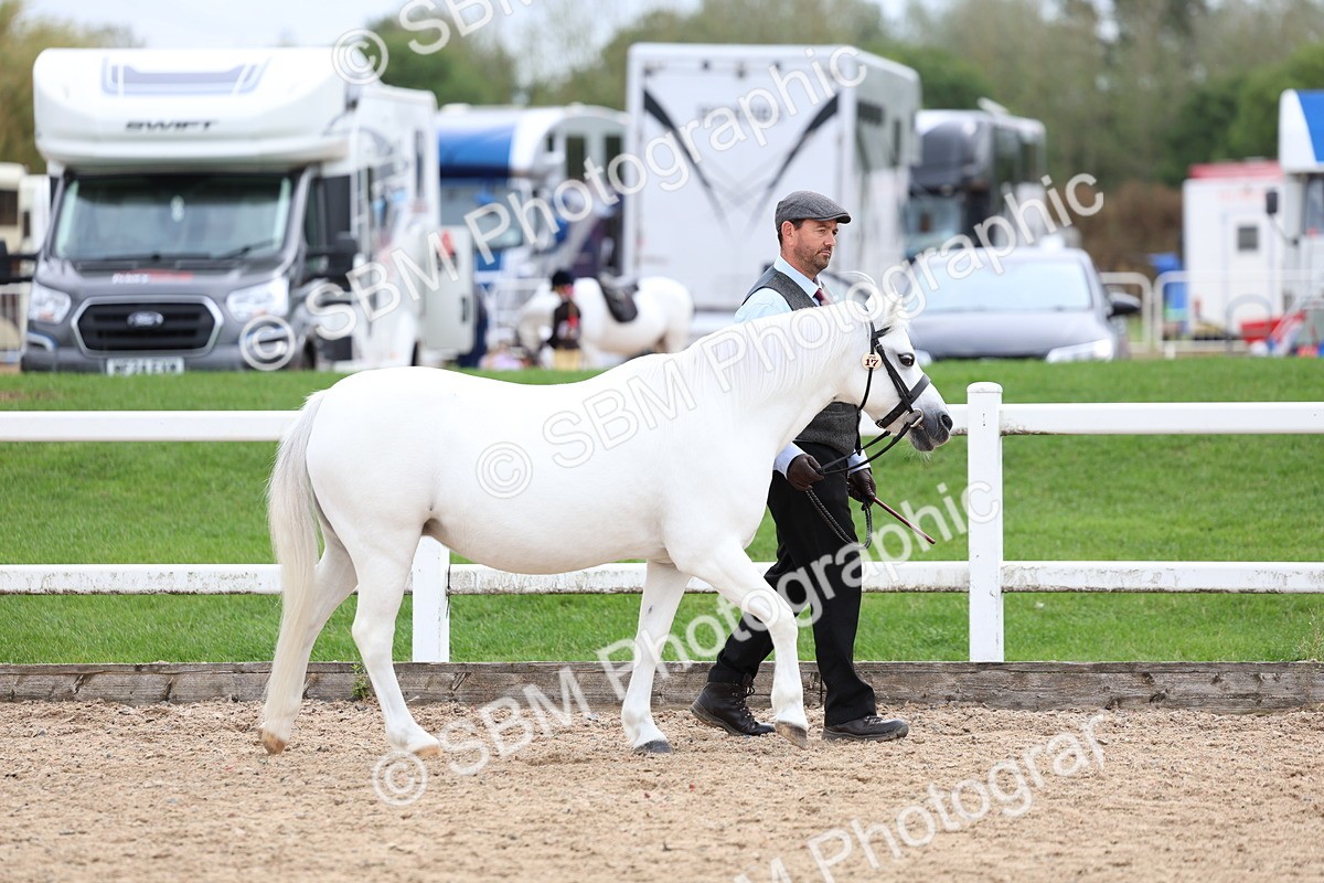 SBM_05807 - Class 29 - IH Veteran Pony