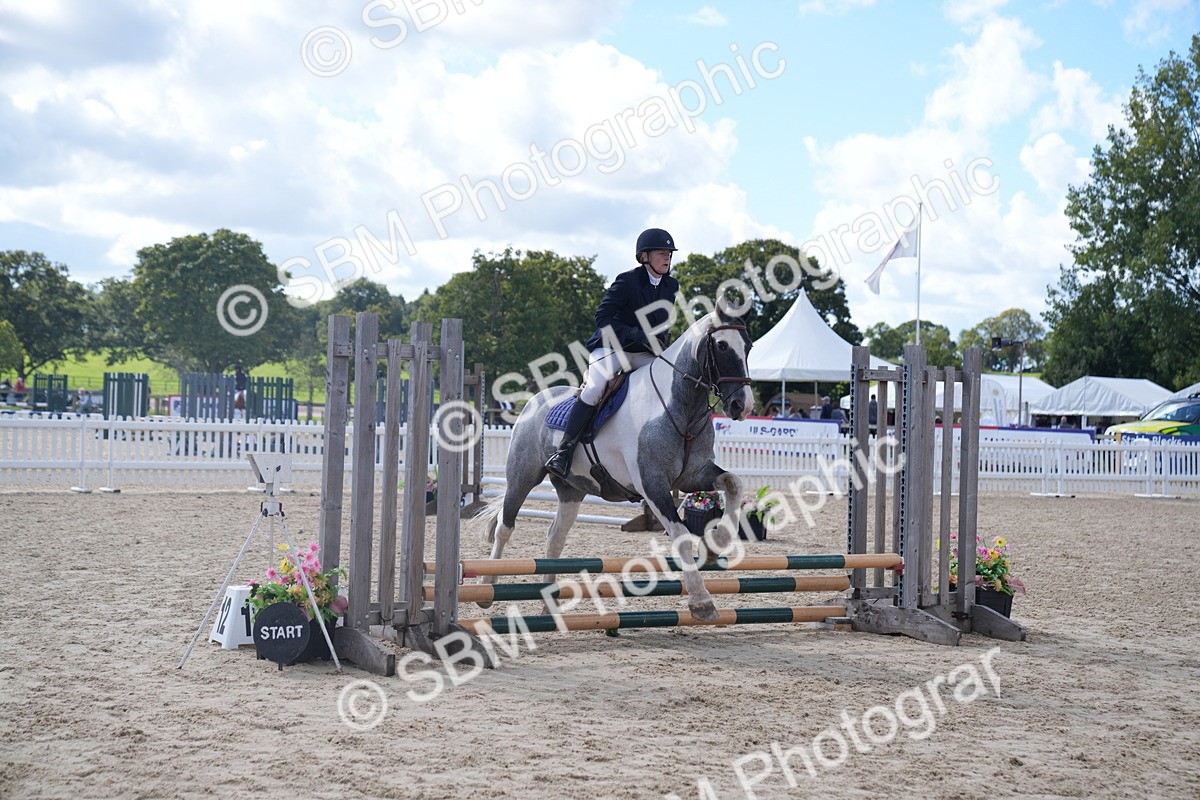 SBM_04109 - J34 Veteran 50cm Championship