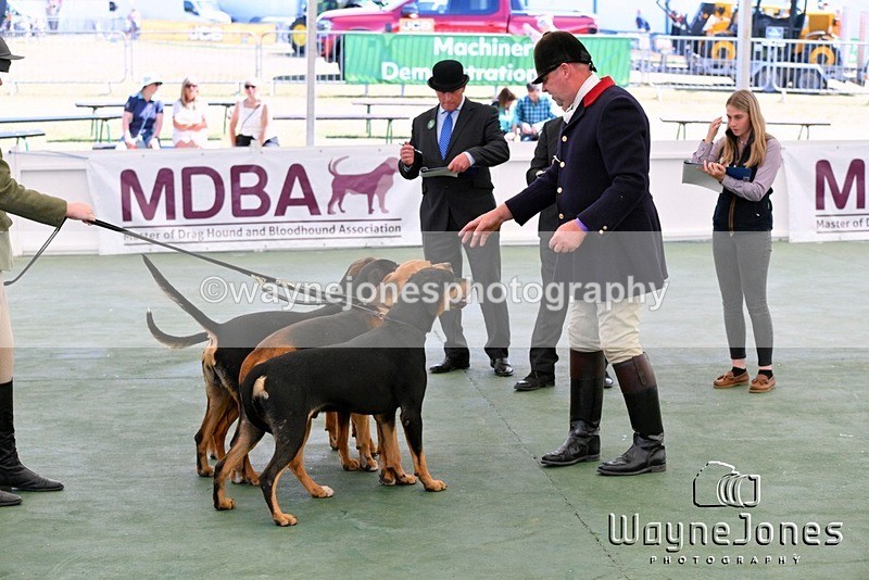 WJ5_0704 - Berks & Bucks at the Great Yorkshire Show 2025