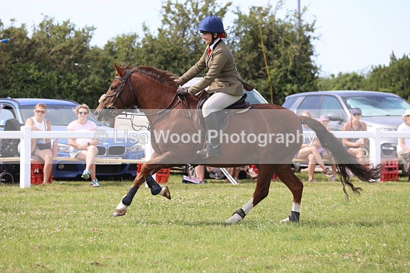 JPP_3697 - Class 23: Working Hunter 80cm