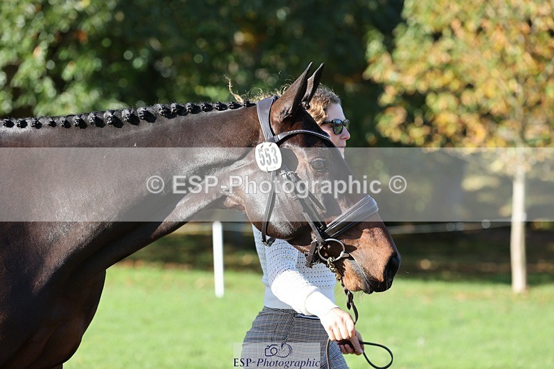 241027-095642-15594 - 553-Hanna.Bertorelli-BWTH.CLASSIC.CUT