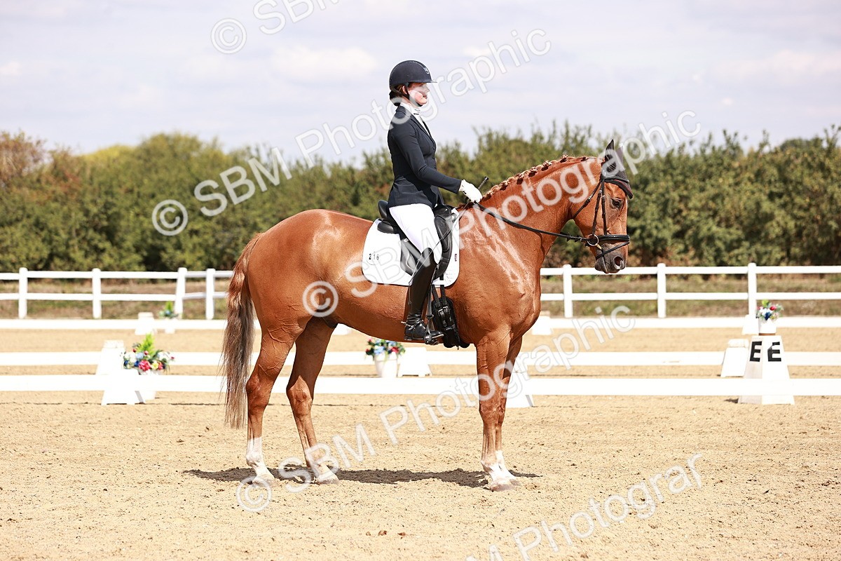 SBM_018461 - Class 17 - Novice 6