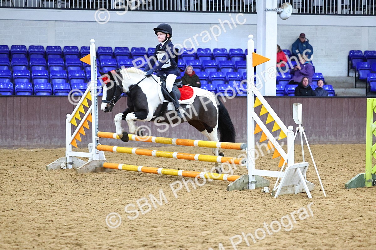 SBM_001303 - Class 3 - Christmas Tree Stakes - 60cm