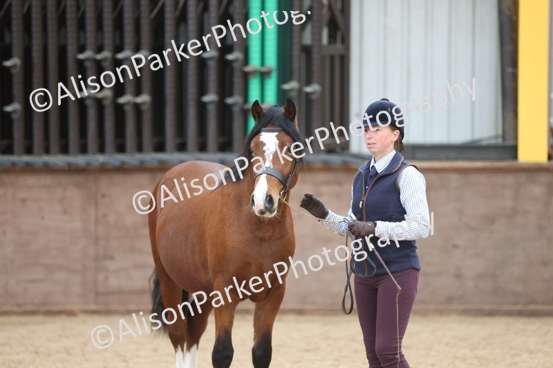 20251109-0958 - Class 26 - 2 and 4 Year Olds