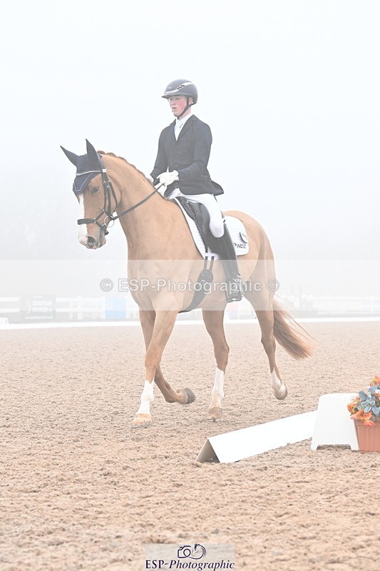 240217A-103239-01111 - 273-Tom.Carter-Newton.Dreamcatcher