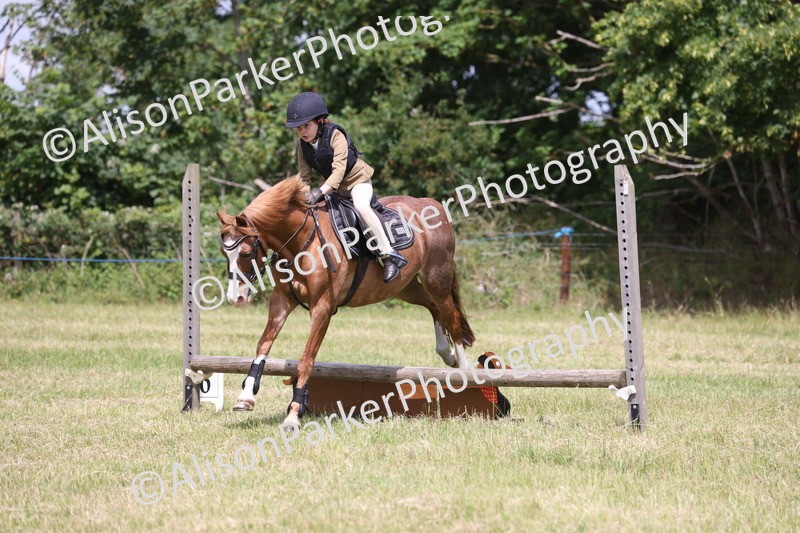 20260614-2001 - Class 21 - Novice Working Hunter Pony