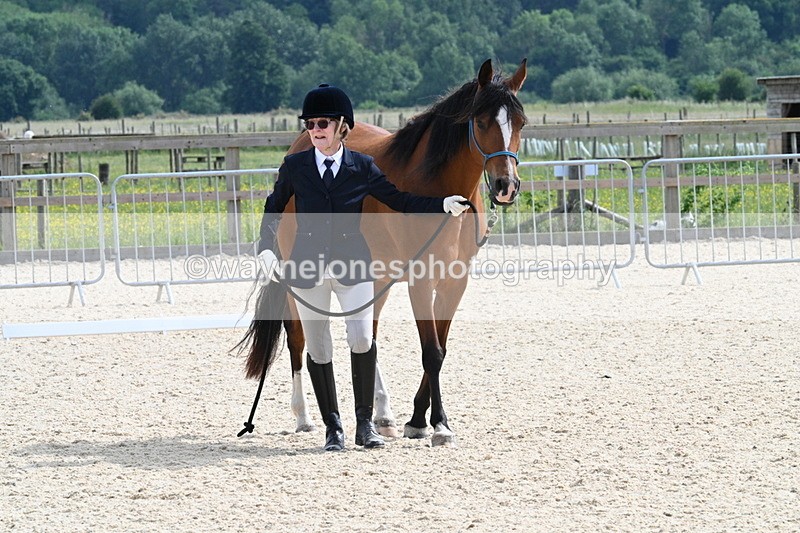 WJ7_8207 - Time 16:10 to 16:25