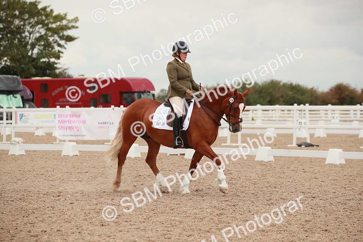 SBM_06085 - Class 33 - Elementary 1