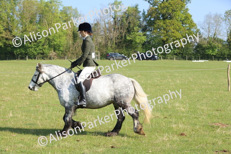 20250427-0518 - Class 17 - Novice Showing