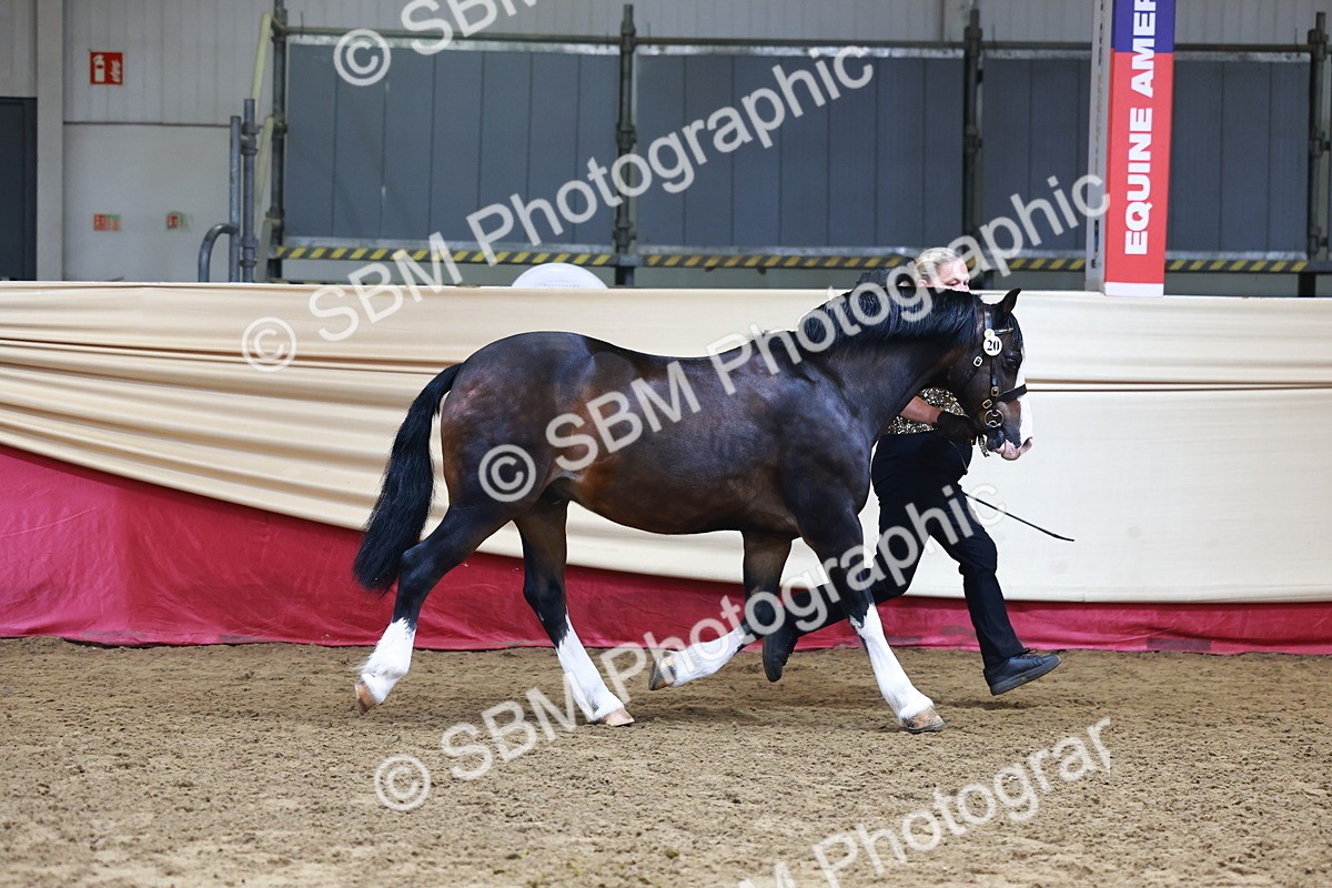 SBM_22281 - Class 902 - Supreme Final - IH Diamond