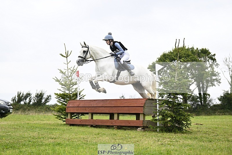 240831A-141808-03595 - 256-Tiarna.Falco-AUGHNAKEERAGH.DANNY