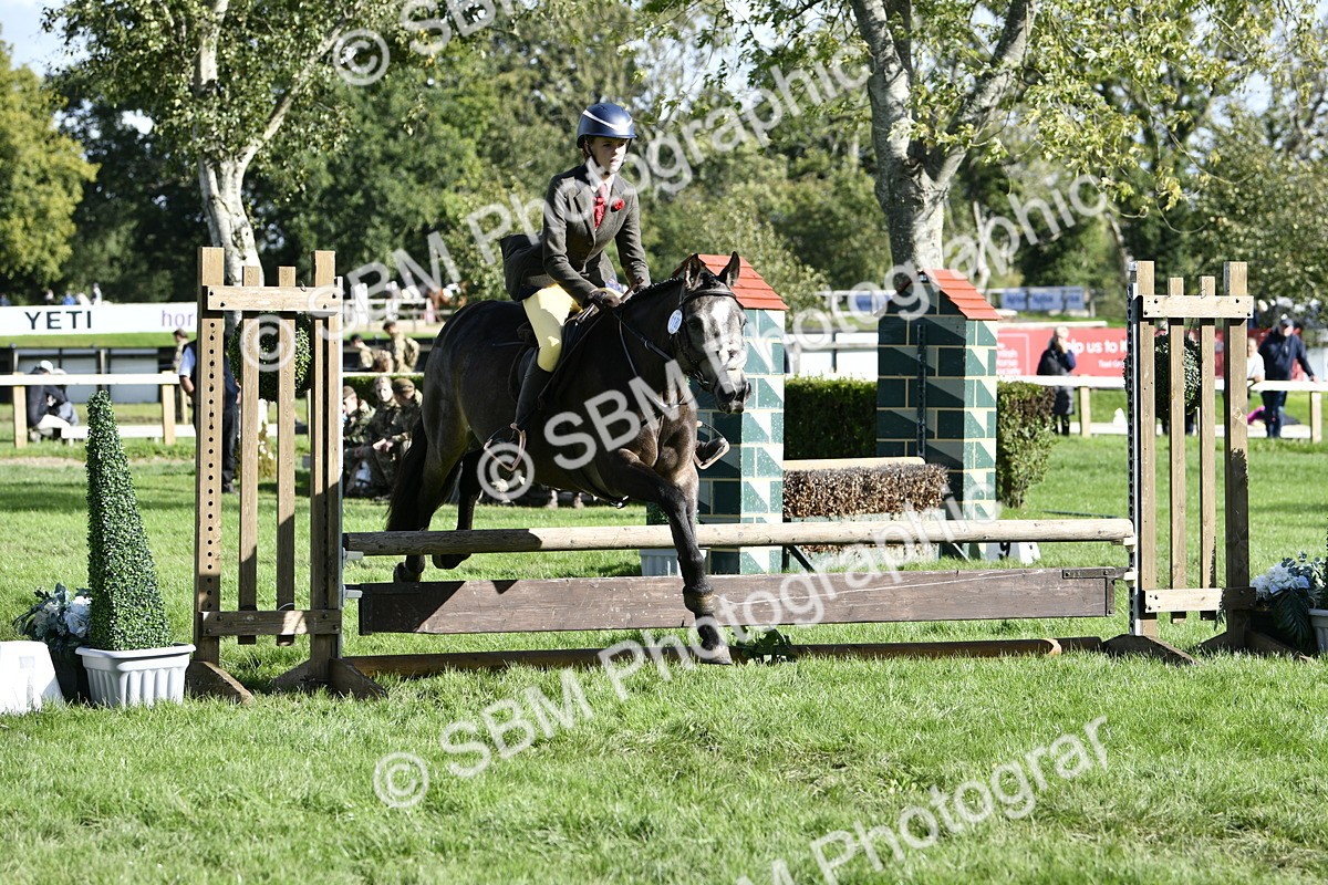 SBM_49991 - S34 - Novice & Newcomers Working Hunter
