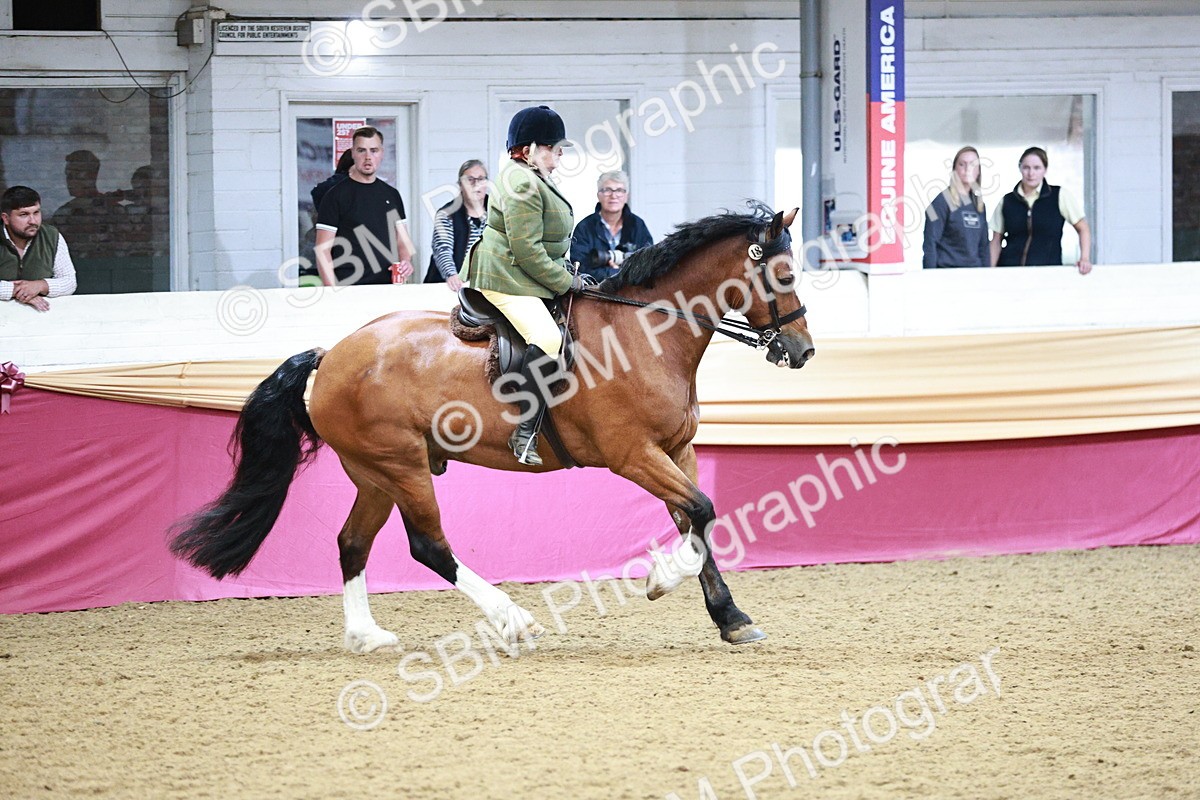 SBM_03621 - Class 6A Area Ridden Pre-Vet