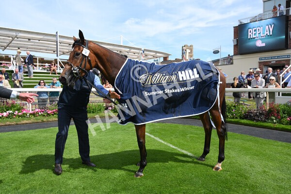 yr08072022r2-46 - Race 2 2.40pm William Hill Summer Stakes
