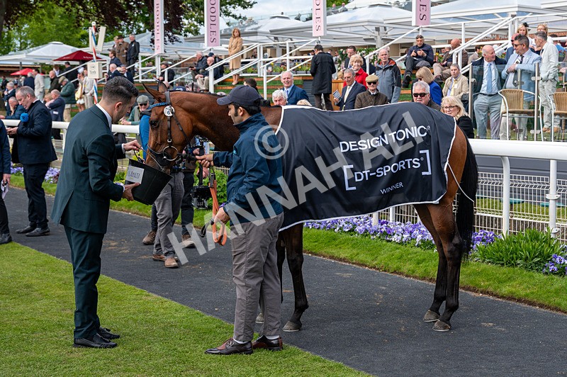 150526-Race 4-Love A Giggle-2709 - Race 4 3.30pm Design Tonic Out Of This World Spaces At The Races EBF Marygate Fillies' Stakes