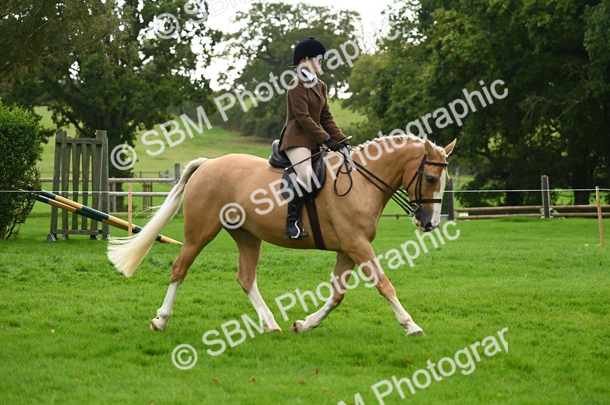 SBM_26362 - S6 - Novice & newcomer Ridden horse