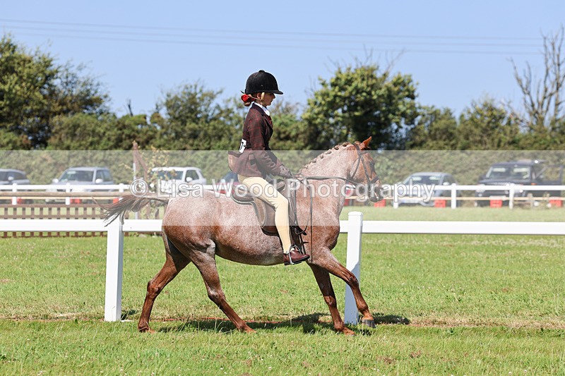 IMG_1999 - Class 34: Show Hunter Pony 153cm and under
