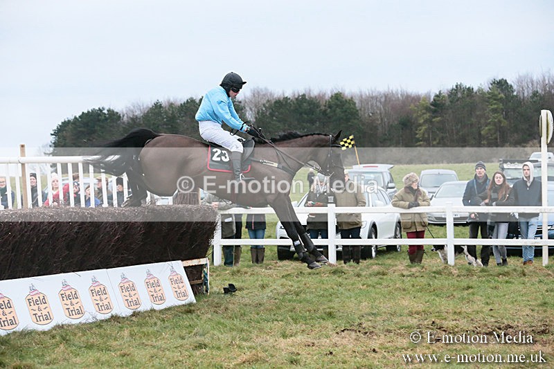 PtP 060119 499 - Larkhill Racing Club - Point-to-Point- 06/01/2019