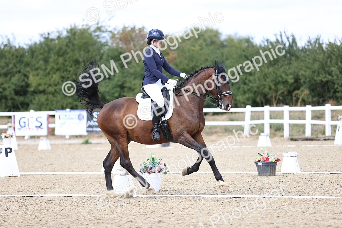 SBM_015203 - Class 5 - E5 Bronze 14.42.15.54