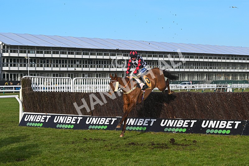 250125-Race 3-Moon DOrange-4228 - Race 3