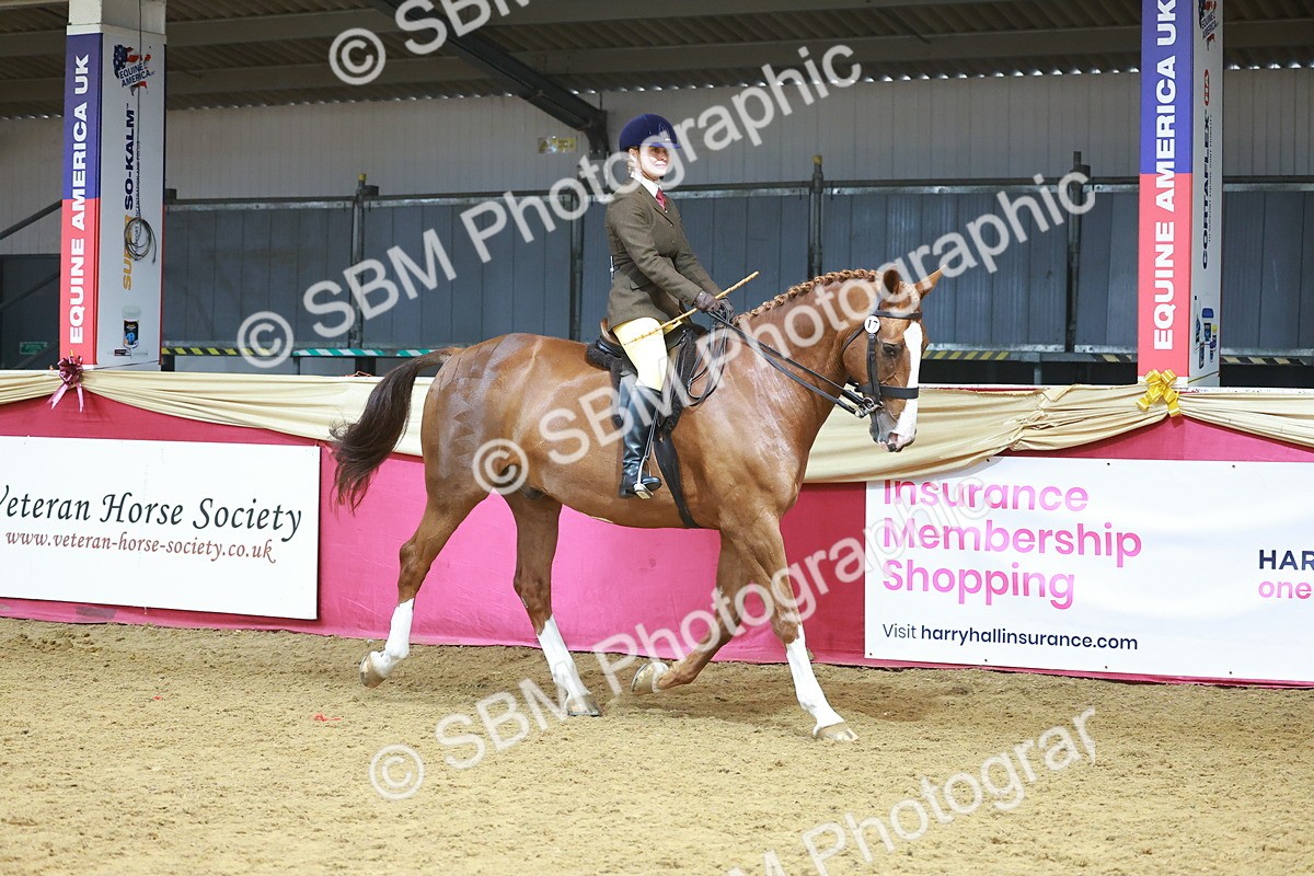 SBM_12472 - Class 103 - HOYS Veteran Qualifier - Ridden Pre Vet