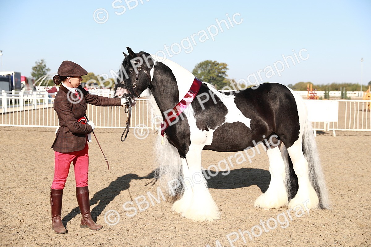 SBM_00097 - Class 40 Best Turned Out IH