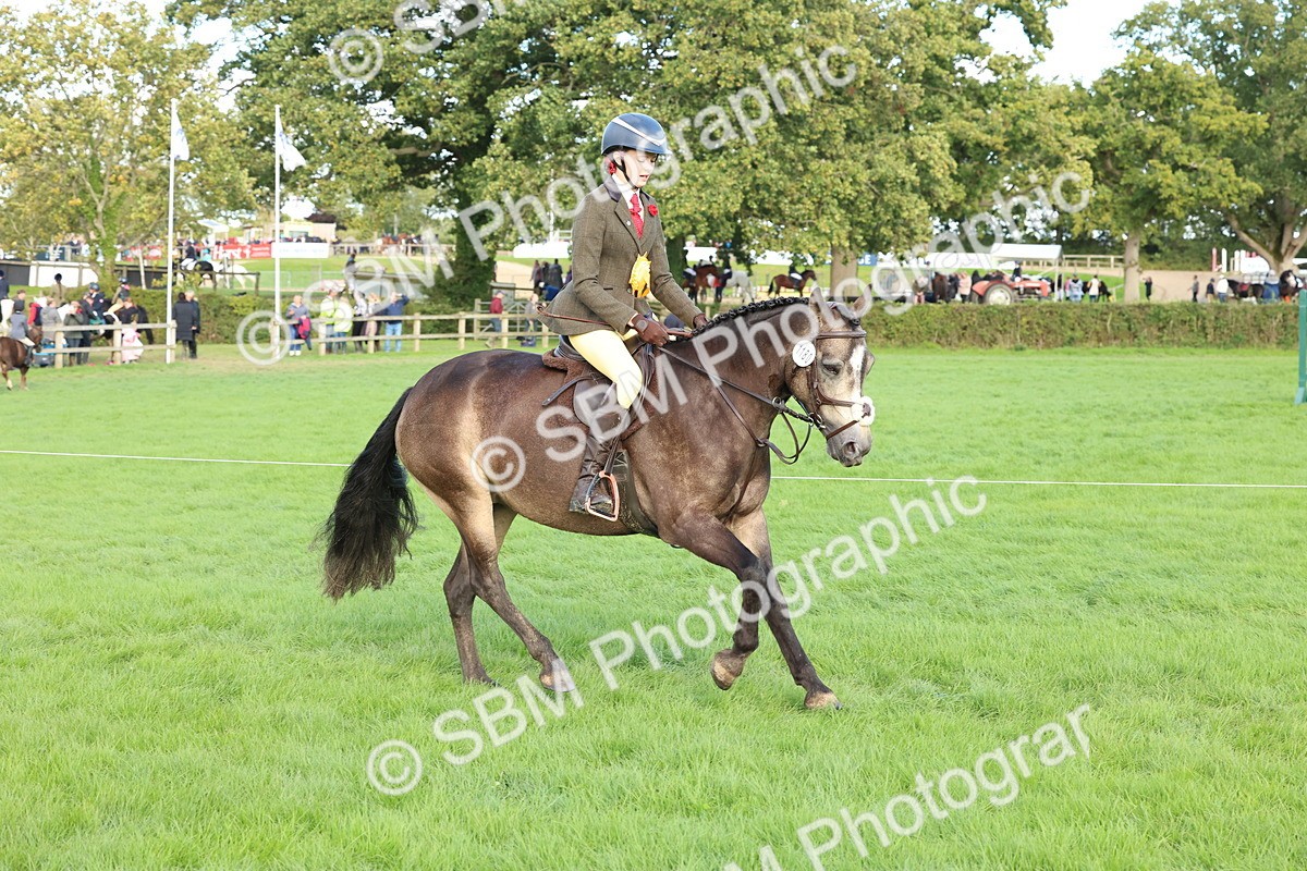 SBM_50220 - S34 - Novice & Newcomers Working Hunter