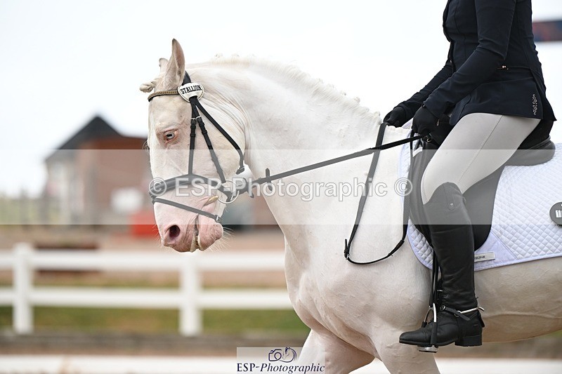 250705-175517-02290 - P2 Sections BDP2SNR, BDP2JNR 12.32 to 13.42